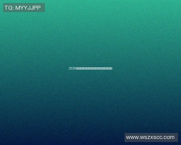 2020欧洲杯官网网站全面解析赛事信息与精彩瞬间尽在掌握